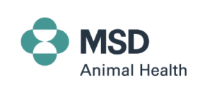 Screenshot 2025-11-25 alle 18.02.25